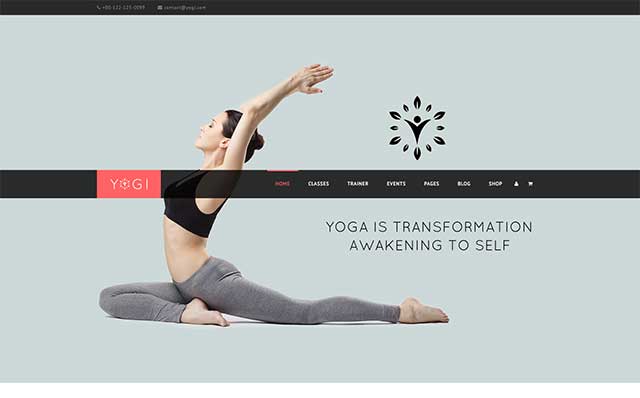 19 Superb WordPress Themes for Medical, Fitness and Sports Website